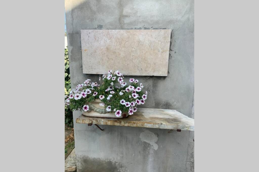 דירות פיאטרה סנטה Antica Casa Nel Borgo מראה חיצוני תמונה