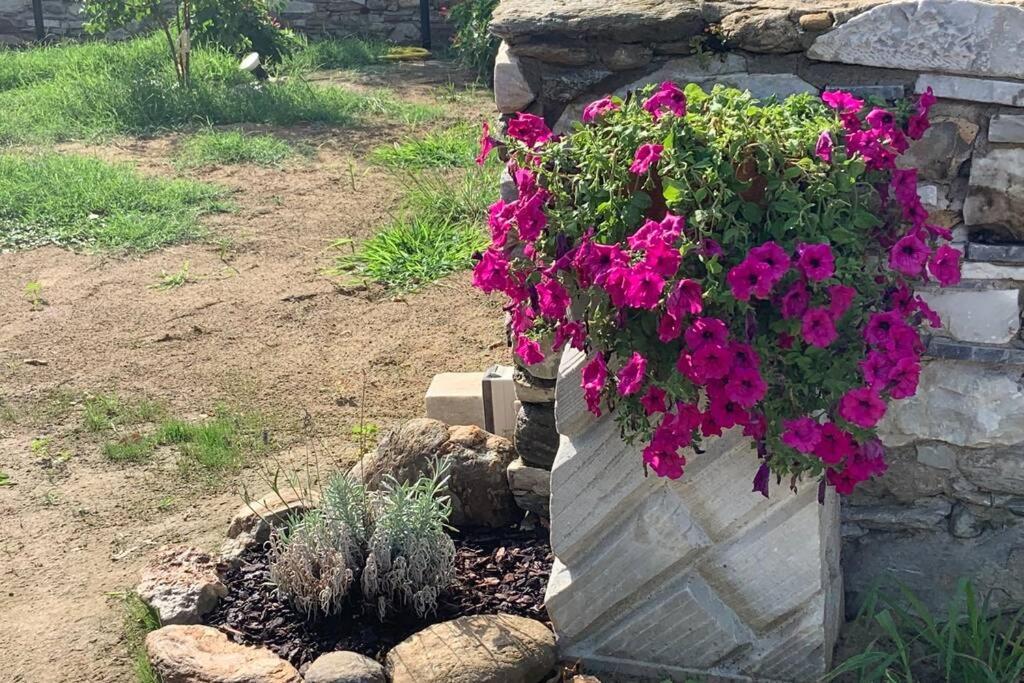 דירות פיאטרה סנטה Antica Casa Nel Borgo מראה חיצוני תמונה